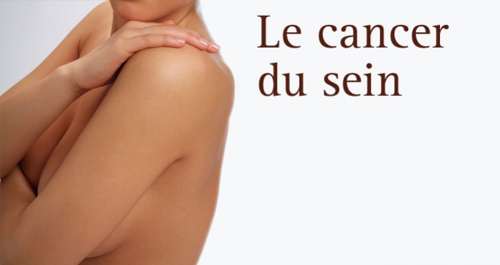 281_meta-valeur-famille-k-feminins-sein-hp