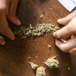 Fumer fleur cbd